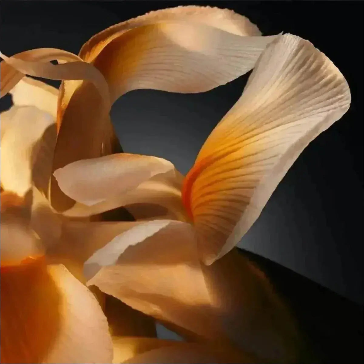 Boss Bottled Hugo Boss Eau De Parfum 200ml - Perfume Masculino Amadeirado e Sofisticado - Jm Grife - boss,bottled,hugo,issues,masculino,perfume - Jm Grife - Boss Bottled Hugo Boss Eau De Parfum 200ml - Perfume Masculino Amadeirado e Sofisticado