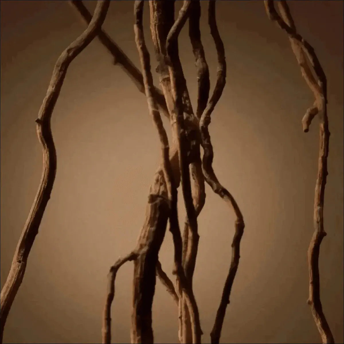 BOSS Bottled Hugo Boss Perfume Masculino 50ml - Amadeirado Especiado, Elegante e Intenso - Jm Grife - 50ml,assim,boss,bottled,hugo,intenso,issues,mais,masculino,parfum,perfume - Jm Grife - BOSS Bottled Hugo Boss Perfume Masculino 50ml - Amadeirado Especiado, Elegante e Intenso