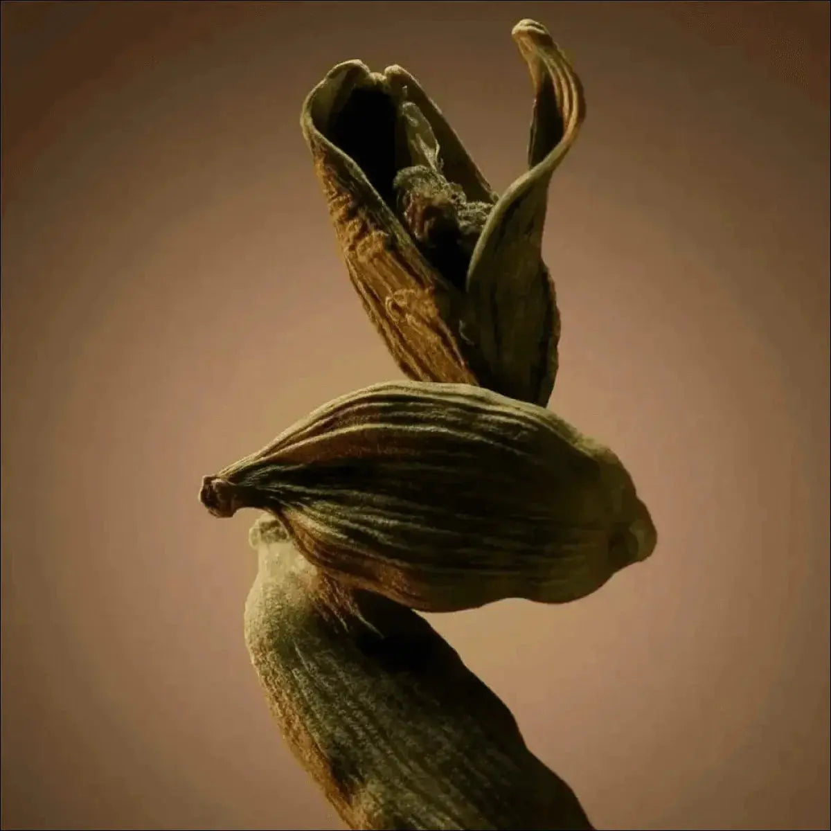 BOSS Bottled Hugo Boss Perfume Masculino 50ml - Amadeirado Especiado, Elegante e Intenso - Jm Grife - 50ml,assim,boss,bottled,hugo,intenso,issues,mais,masculino,parfum,perfume - Jm Grife - BOSS Bottled Hugo Boss Perfume Masculino 50ml - Amadeirado Especiado, Elegante e Intenso