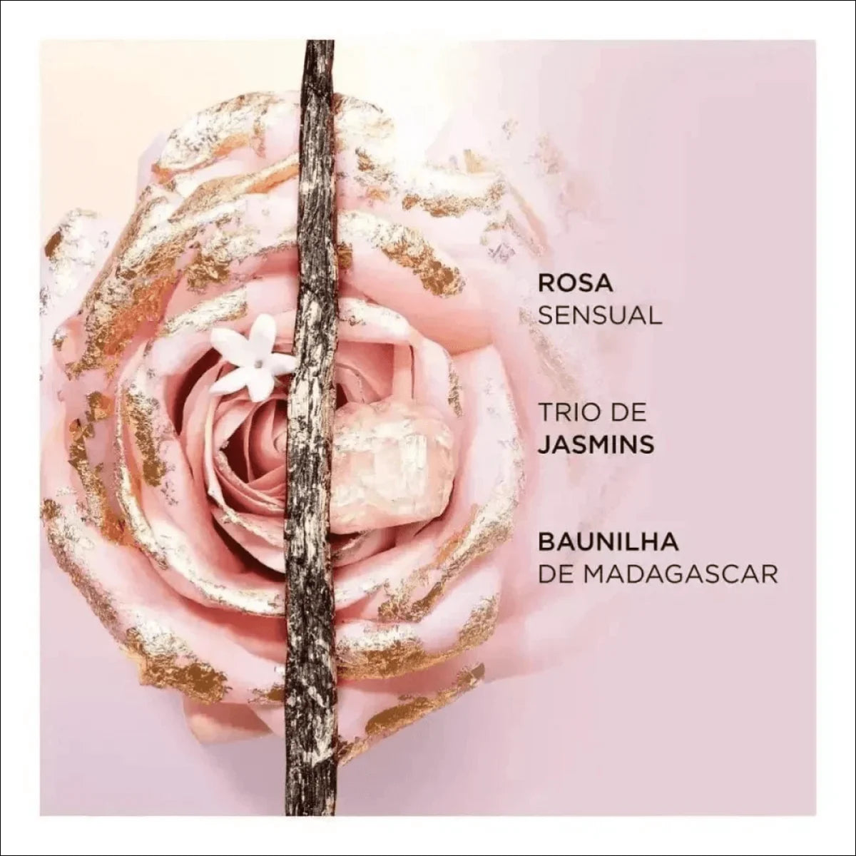 Idôle L'intense Lancôme Eau De Parfum - Perfume Feminino 25ml - Jm Grife