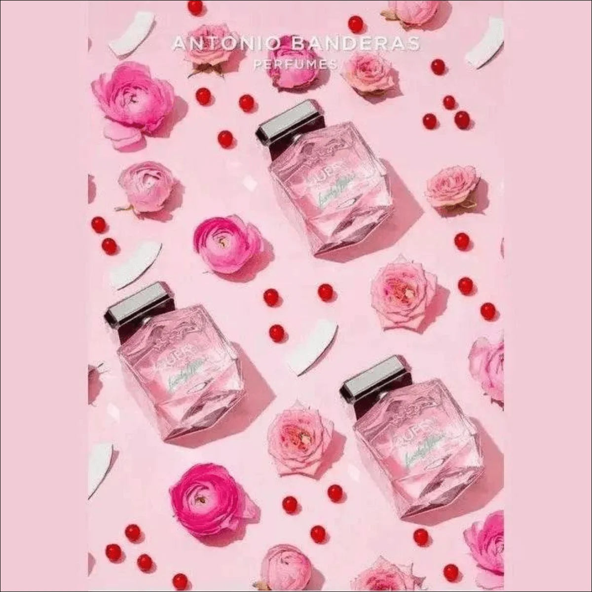 Banderas Queen of Seduction Lively Muse Limited Edition EDT 80ml para feminino - Distribuidor Autorizado - Jm Grife - issues - Jm Grife - Banderas Queen of Seduction Lively Muse Limited Edition EDT 80ml para feminino - Distribuidor Autorizado