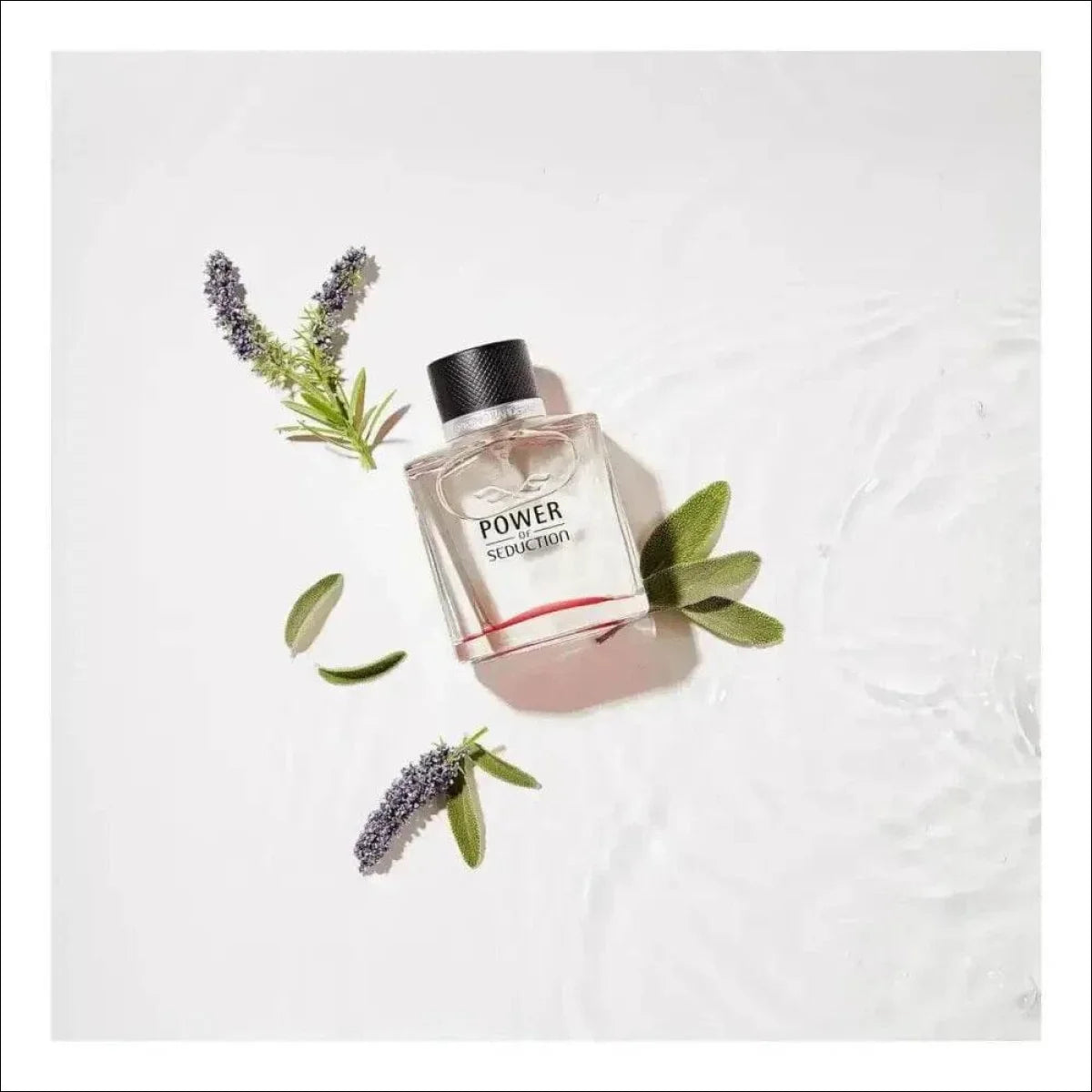 Power Of Seduction Antonio Banderas Edt - Perfume 100ml Blz - Jm Grife