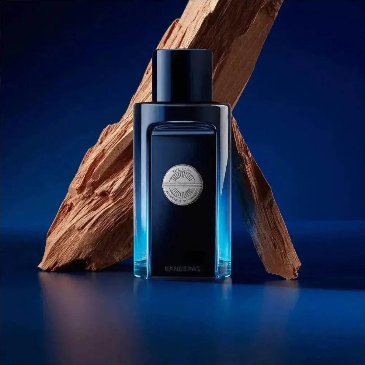 The Icon Antonio Banderas Edt - Perfume Masculino 100ml - Jm Grife